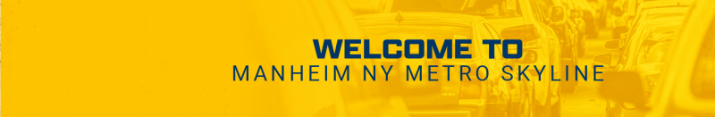 Welcome to Manheim NY Metro Skyline