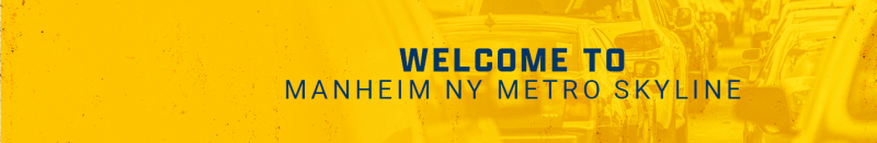 Welcome to Manheim NY Metro Skyline