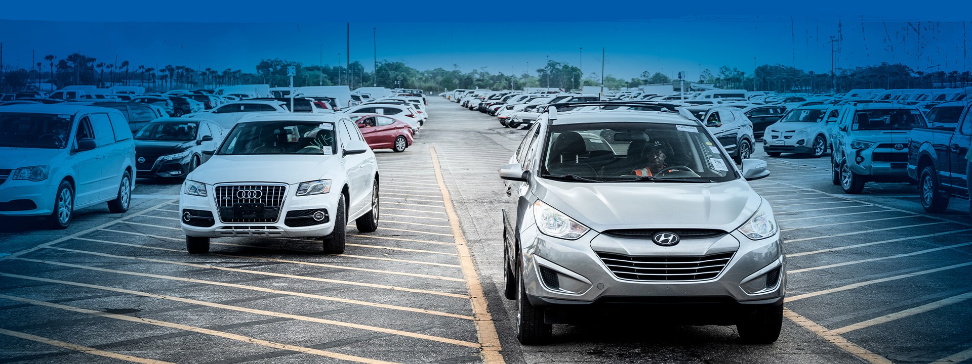 Manheim Homepage