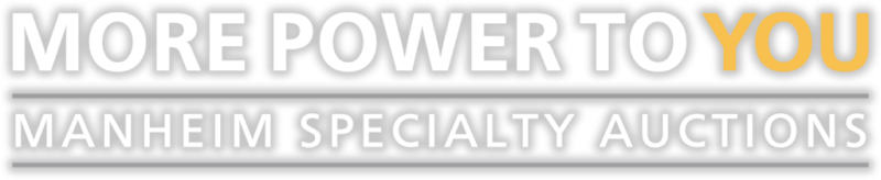 hero-headline-specialty-auctions-1024x210-1.png